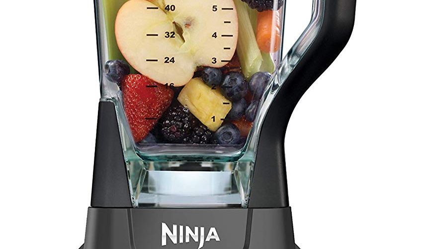 ninja professional blender 1000